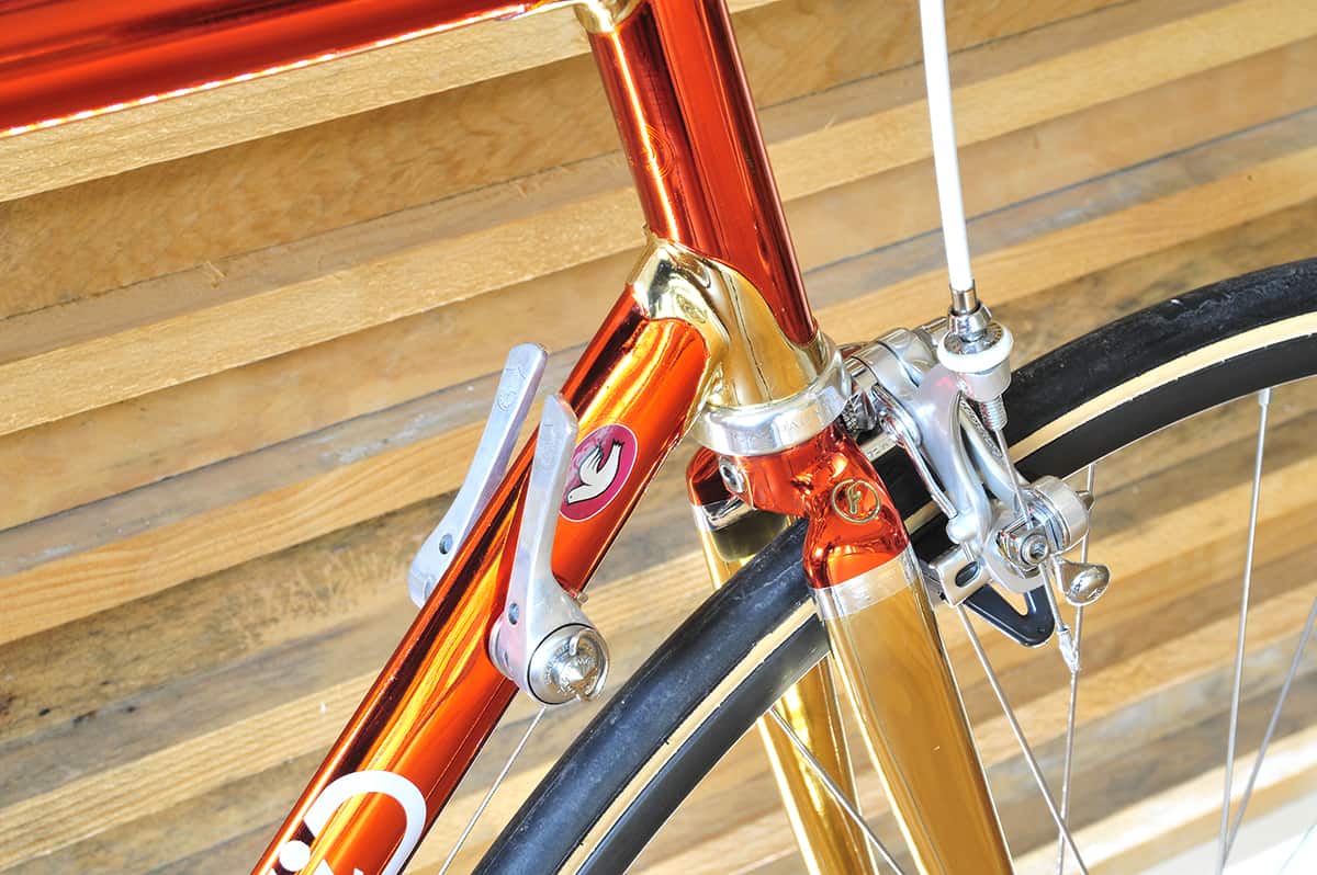 Fanini Cromovelata D