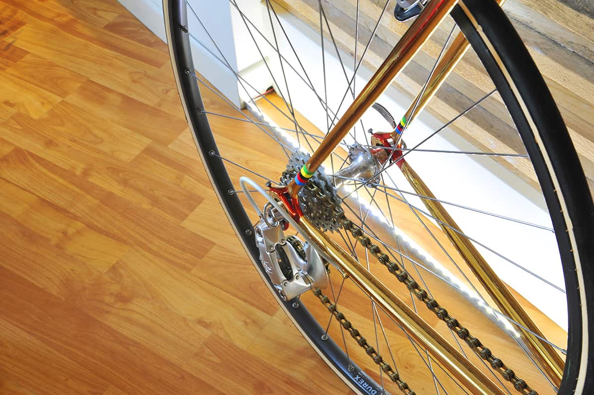 Fanini Cromovelata C