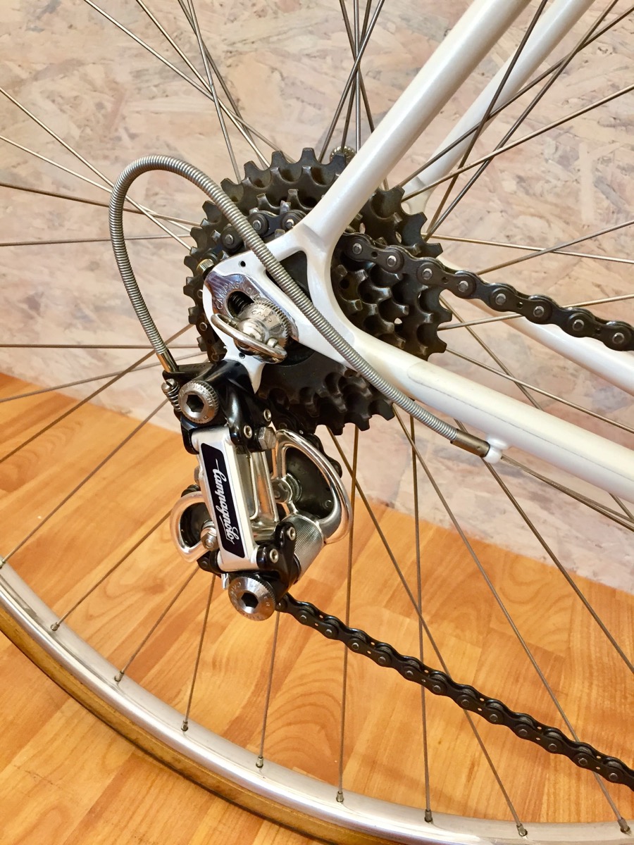 Rauler Special 1983 D