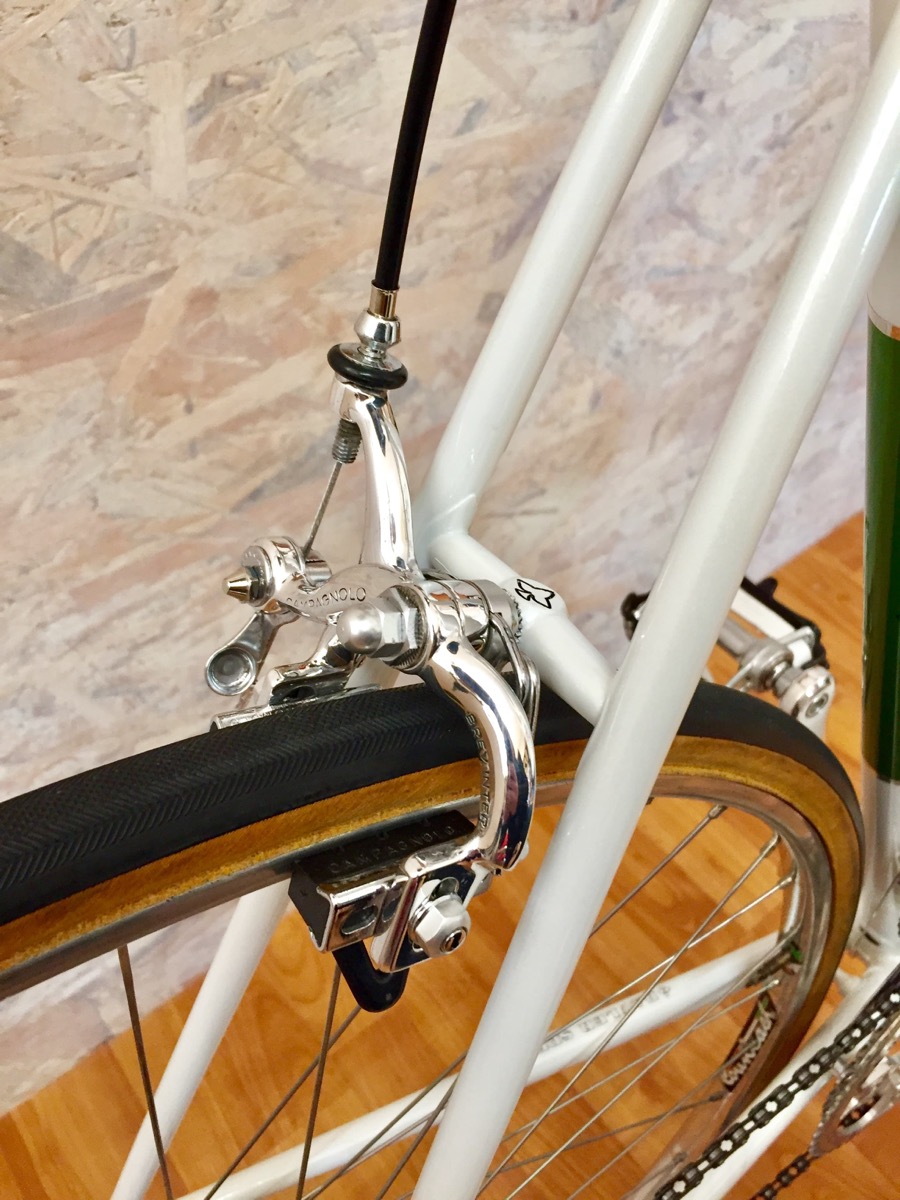 Rauler Special 1983 E